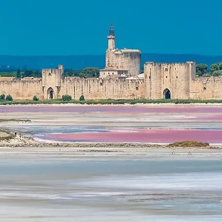 Hébergement de vacances Maison A 800m Des Remparts